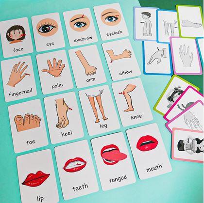Obrázek z Sada 36 výukových kartiček v angličtině - části těla