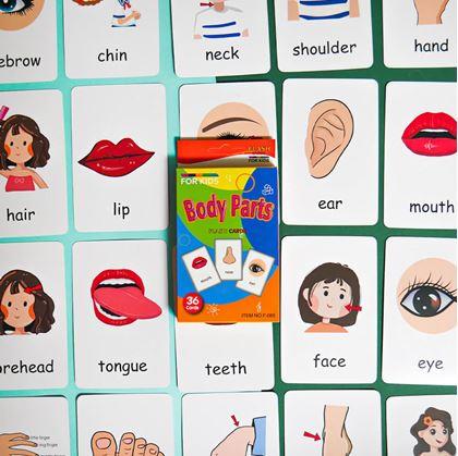 Obrázek z Sada 36 výukových kartiček v angličtině - části těla
