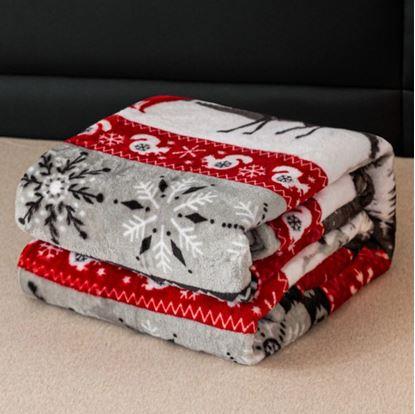 Obrázek Vánoční mikroplyšová deka lesní království 150 x 200 cm