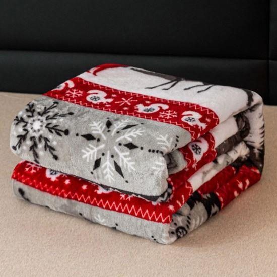Obrázek z Vánoční mikroplyšová deka lesní království 150 x 200 cm