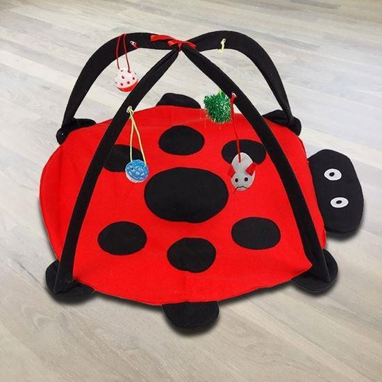 Obrázek z Hrací podložka pro kočky