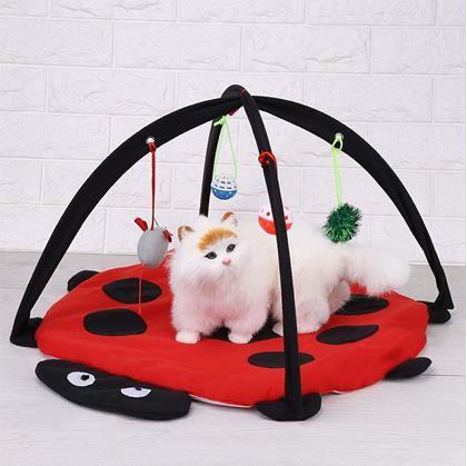 Obrázek z Hrací podložka pro kočky