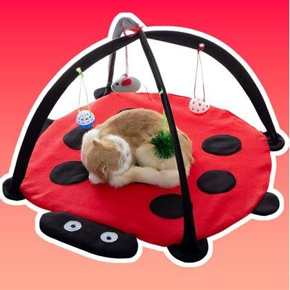 Obrázek z Hrací podložka pro kočky