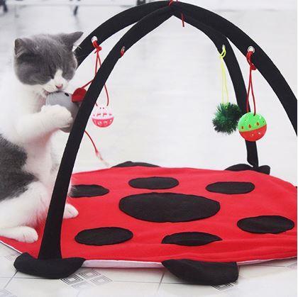 Obrázek z Hrací podložka pro kočky