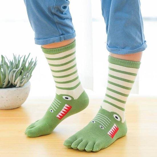 Obrázek z Dětské prstové ponožky - vel. 19-24 cm - krokodýl