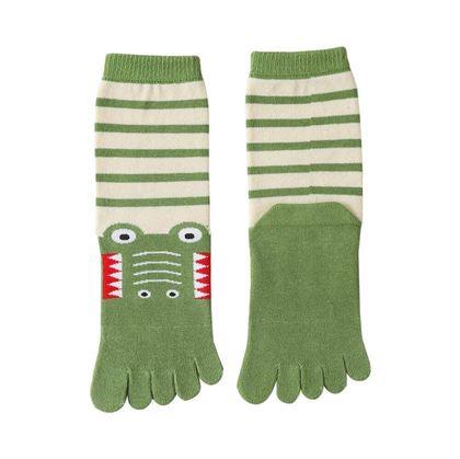 Obrázek z Dětské prstové ponožky - vel. 15-19 cm - krokodýl