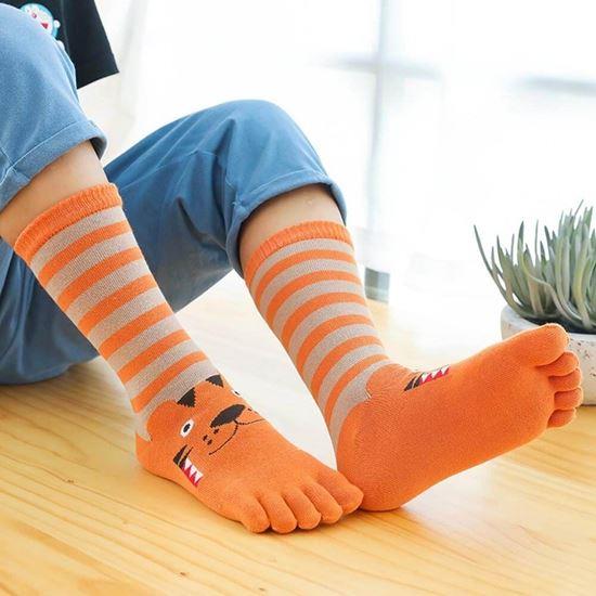 Obrázek z Dětské prstové ponožky - vel. 15-19 cm - tygřík