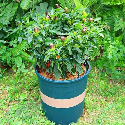 Obrázek z 2 ks Kovové podpěry rostlin - 35 cm