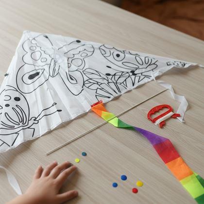 Obrázek z Létající drak k vybarvení - motýlci