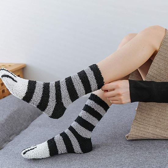 Obrázek z Ponožky tlapičky