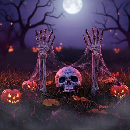 Obrázek z Dekorace na zahradu - kostlivec