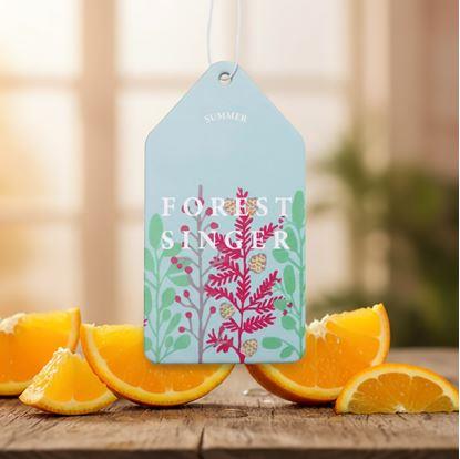 Obrázek Vonítko do auta 