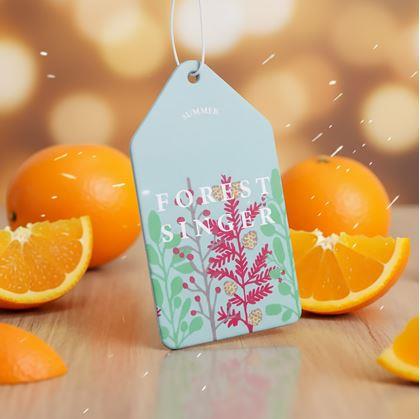 Obrázek z Vonítko do auta  - pomeranč