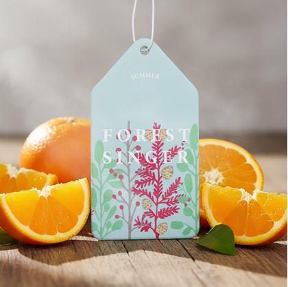 Obrázek z Vonítko do auta  - pomeranč