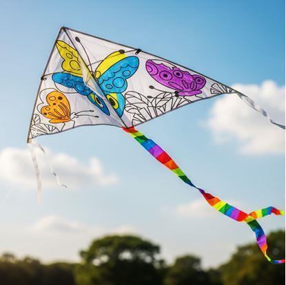 Obrázek Létající drak k vybarvení