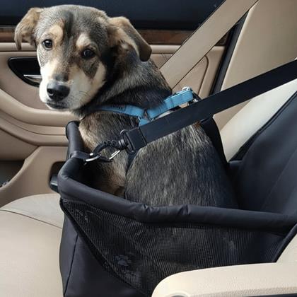 Obrázek z Autosedačka pro mazlíčky 