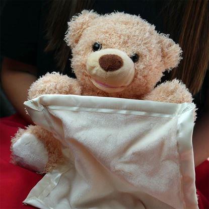 Obrázek Interaktivní mluvící medvídek