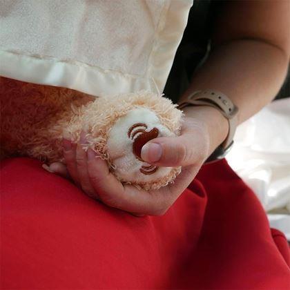 Obrázek z Interaktivní mluvící medvídek