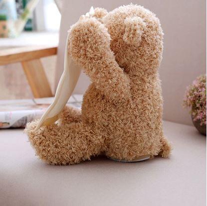 Obrázek Interaktivní mluvící medvídek