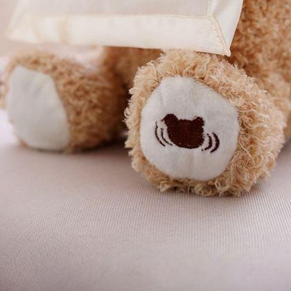 Obrázek z Interaktivní mluvící medvídek