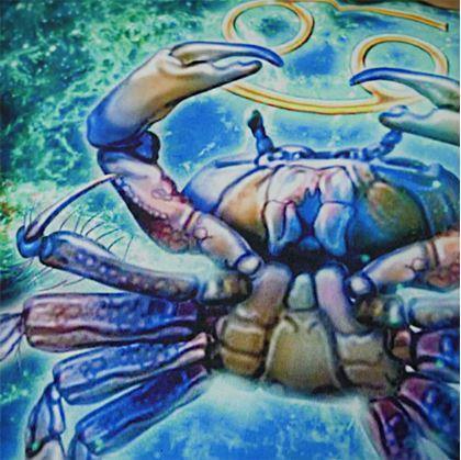 Obrázek z Povlak na polštářek znamení - rak