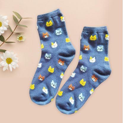 Obrázek Ponožky s kočičkami