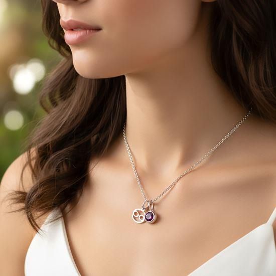 Obrázek z Řetízek s přívěskem znamení zvěrokruhu - Rak