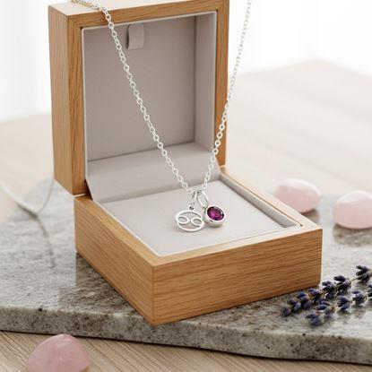 Obrázek Řetízek s přívěskem znamení zvěrokruhu