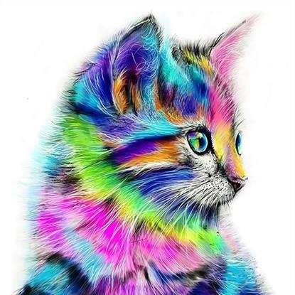 Obrázek Diamantové malování basic