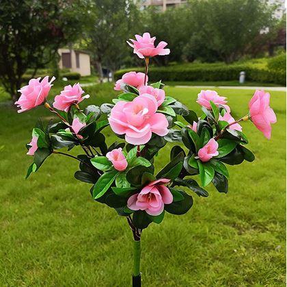 Obrázek z Solární kytice