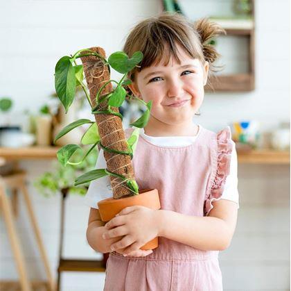 Obrázek z Opora pro popínavé rostliny