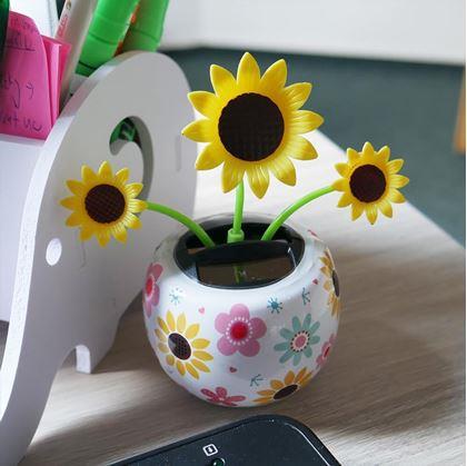 Obrázek z Solární květina - slunečnice