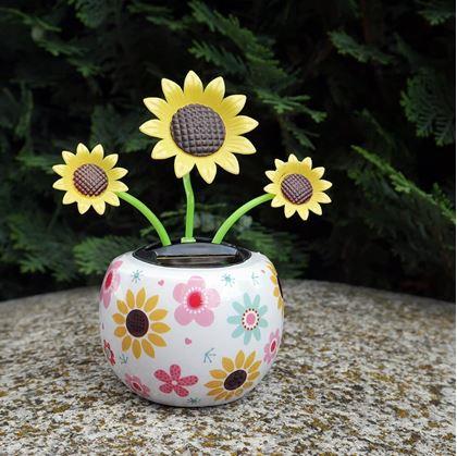 Obrázek z Solární květina - slunečnice