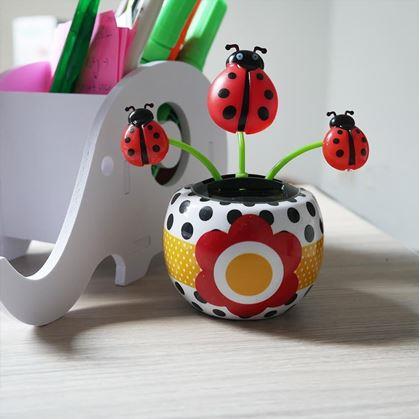 Obrázek z Solární květina - beruška