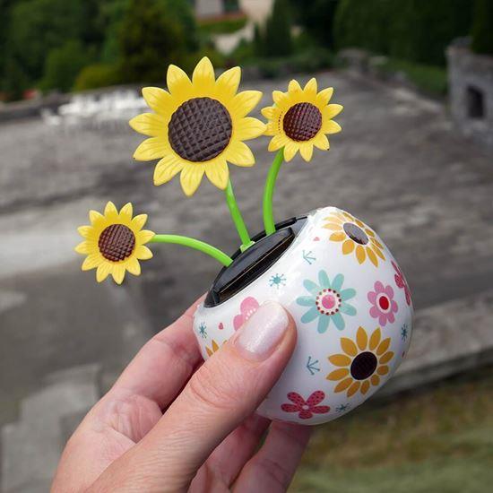 Obrázek z Solární květina - slunečnice