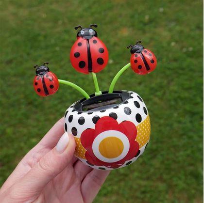 Obrázek z Solární květina - beruška