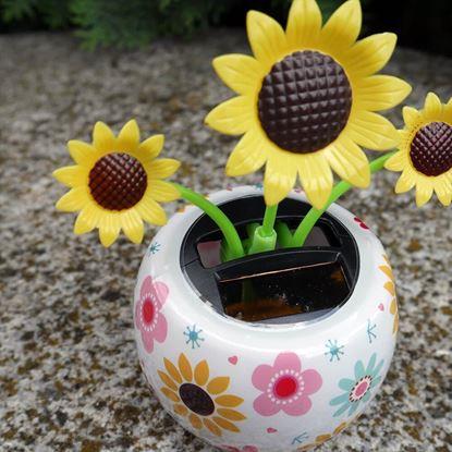 Obrázek Solární květina