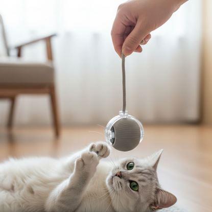 Obrázek Nabíjecí pohyblivý míček pro zvířata