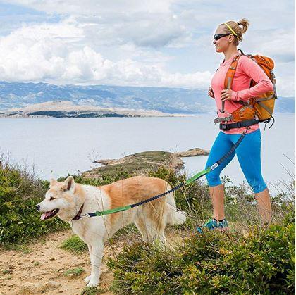 Obrázek z Multifunkční běžecké vodítko