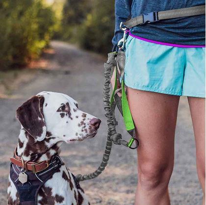 Obrázek z Multifunkční běžecké vodítko