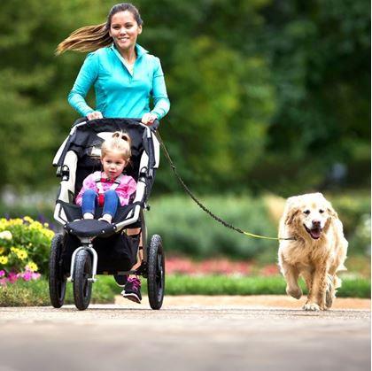 Obrázek z Multifunkční běžecké vodítko