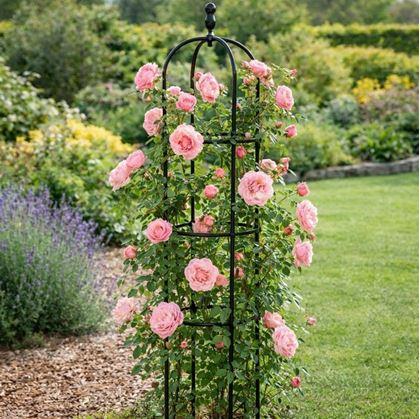 Obrázek z Opora pro popínavé rostliny 140 cm