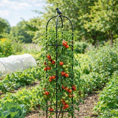 Obrázek Opora pro popínavé rostliny 140 cm