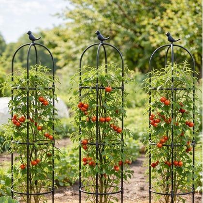 Obrázek z Opora pro popínavé rostliny 140 cm