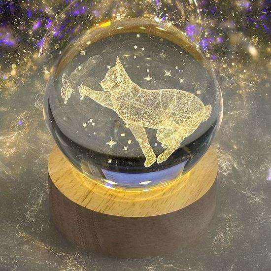 Obrázek z  LED svítící skleněná koule - kočka 