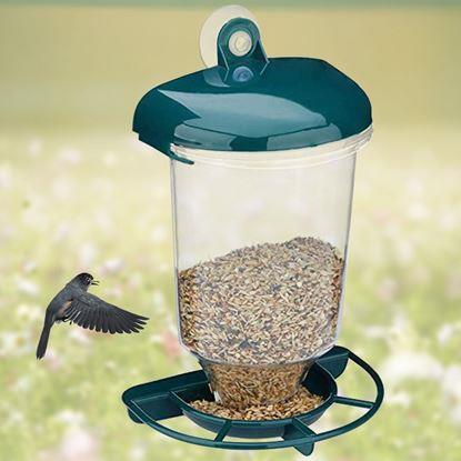 Obrázek Ptačí krmítko na sklo