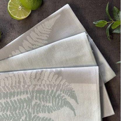 Obrázek Sada 3 bavlněných utěrek 50x70 cm - kapradí