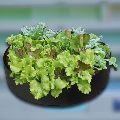 Obrázek Textilní záhon 50 l, 60 x 20 cm