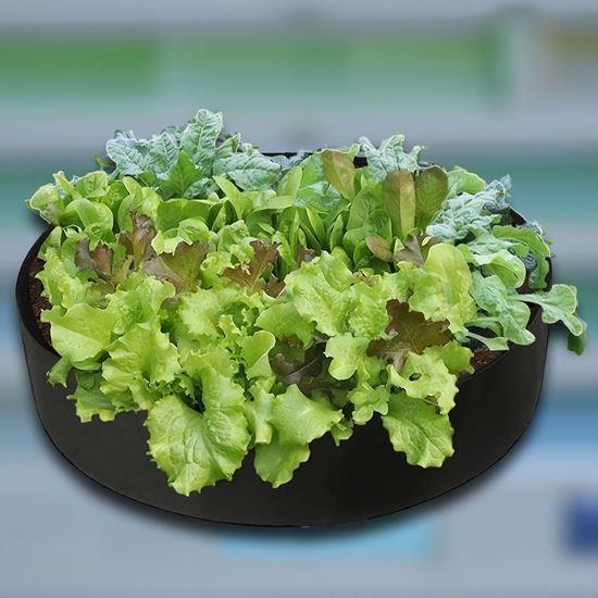 Obrázek z Textilní záhon 50 l, 60 x 20 cm