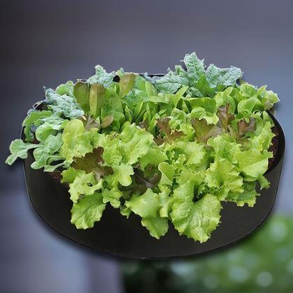 Obrázek z Textilní záhon 50 l, 60 x 20 cm